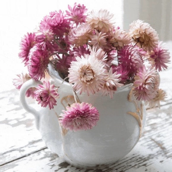 About my closet 🌸🍃🌺🍃🌼🍃🌺 - Picture 10 of 10